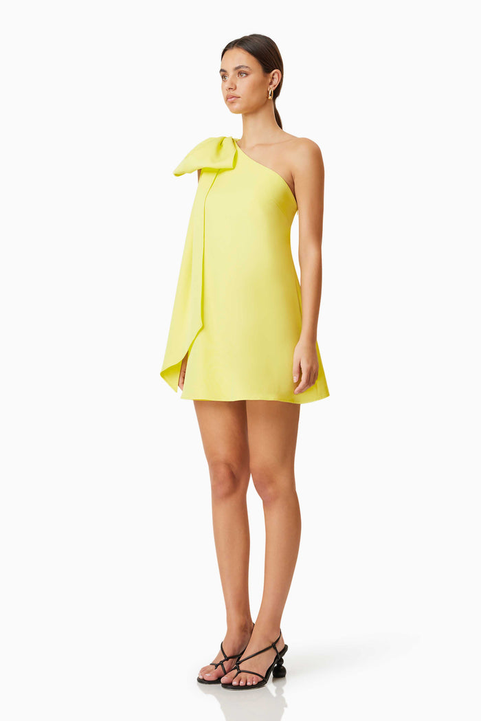 Kennedy Party Dress - Dress - Elliatt