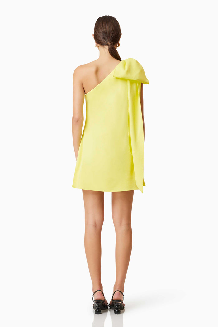 Kennedy Party Dress - Dress - Elliatt
