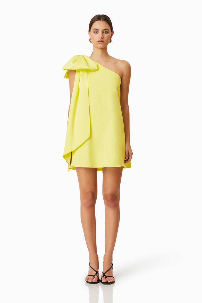 Kennedy Party Dress - Dress - Elliatt