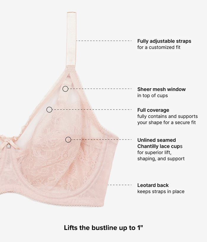 Retro Chic Full Figure Underwire Bra: Rose Dust